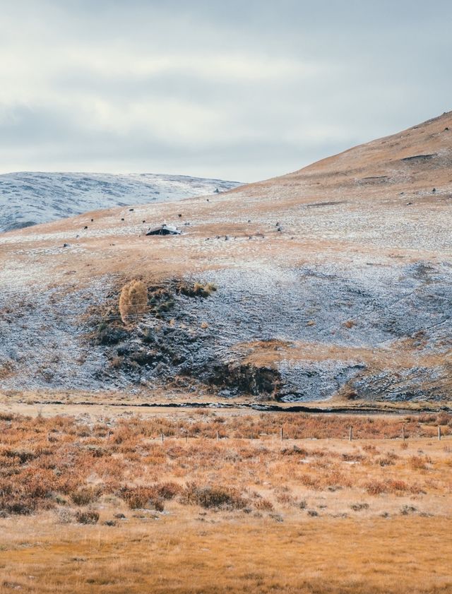 自駕川西一場大雪,川西有了冬日氛圍 自駕川西一場大雪,川西有了冬日氛圍