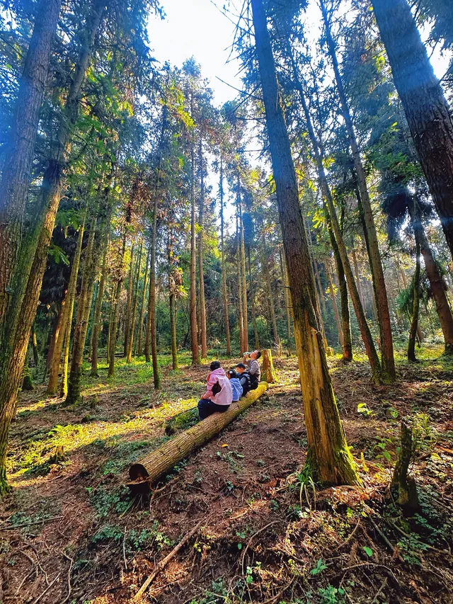 成都霧霾天的救命徒步!蒲虹路6公里,拿捏! 成都霧霾天的救命徒步!蒲虹路6公里,拿捏!