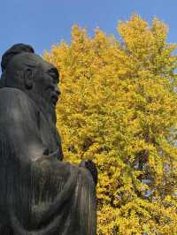 銀杏樹下邂逅金陵城