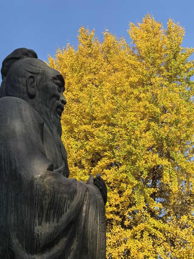 銀杏樹下邂逅金陵城 銀杏樹下邂逅金陵城