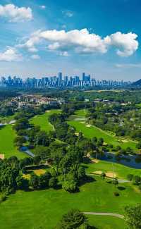 綠城南寧的晴天絕了