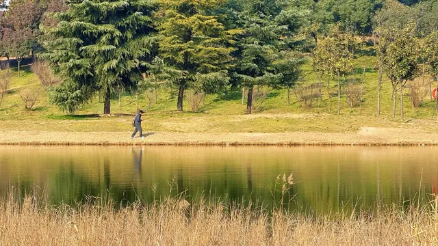 西安高新小森林 西安高新小森林