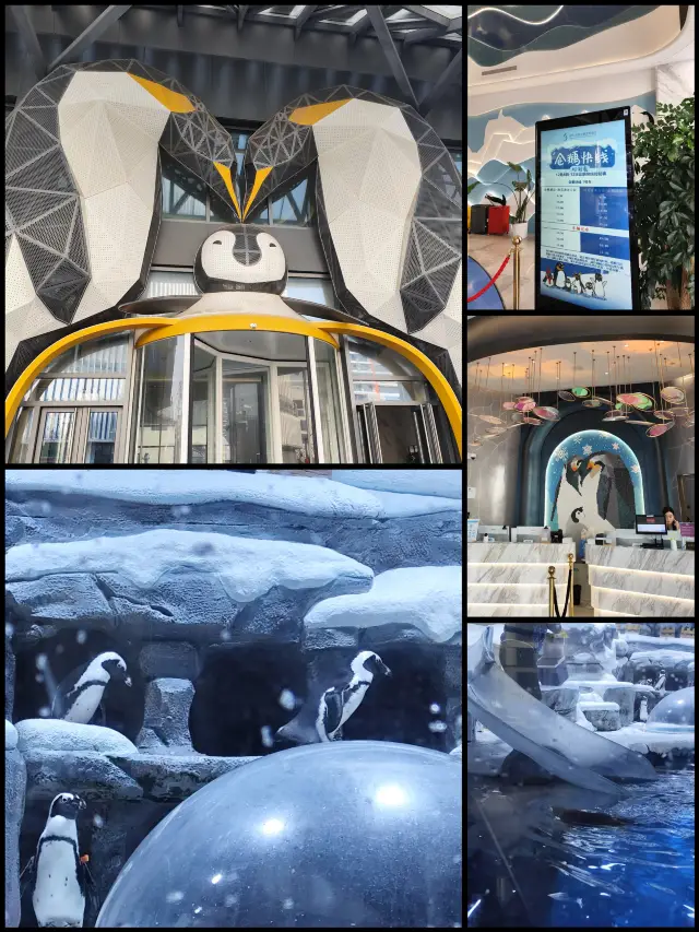 Family trips, you definitely shouldn't miss this penguin-themed hotel