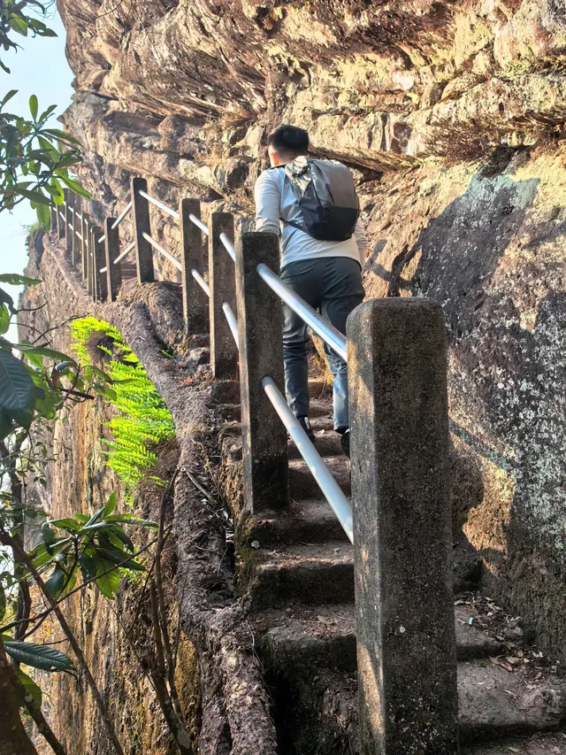 武夷山|誰會拒絕大自然 武夷山|誰會拒絕大自然