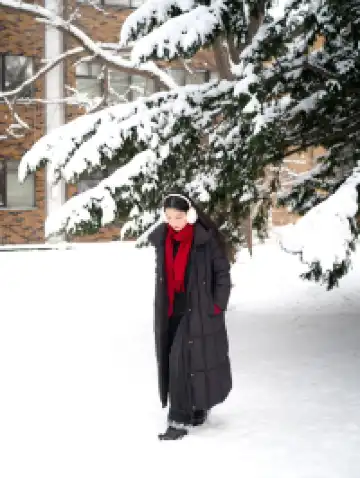 北海道雪又開始下了。