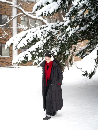 北海道雪又開始下了。