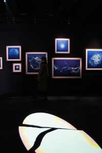 在這遇見一場宇宙的溫柔凝視