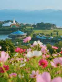 別只念京都！上海這片“海上楓林”美成童話