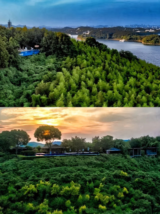 天目湖涵田•養心谷常州藏在竹林裡的靜謐野奢