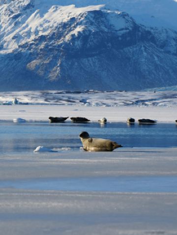 冬休みの北欧周遊攻略、逃すと1年待ち！