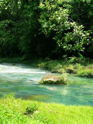 Travel Picks | Costa Rica 4-Day Tour Guide 【Fast】