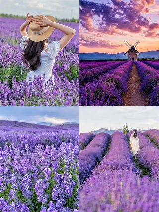 新疆最新北疆純粋な遊覧エッセンス10日間ツアー攻略