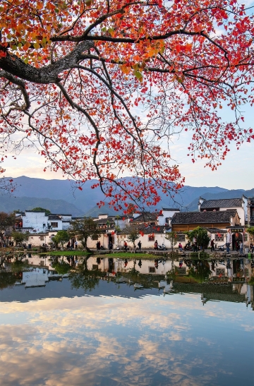 宏村｜藏在徽州的水墨畫卷，一生必去的江南古村｜Trip.com 黟縣