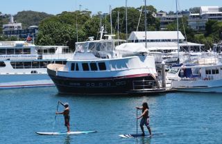 Sydney Port Stephens Dolphin Watching Cruise + Sandboarding 1-Day Private Car Tour