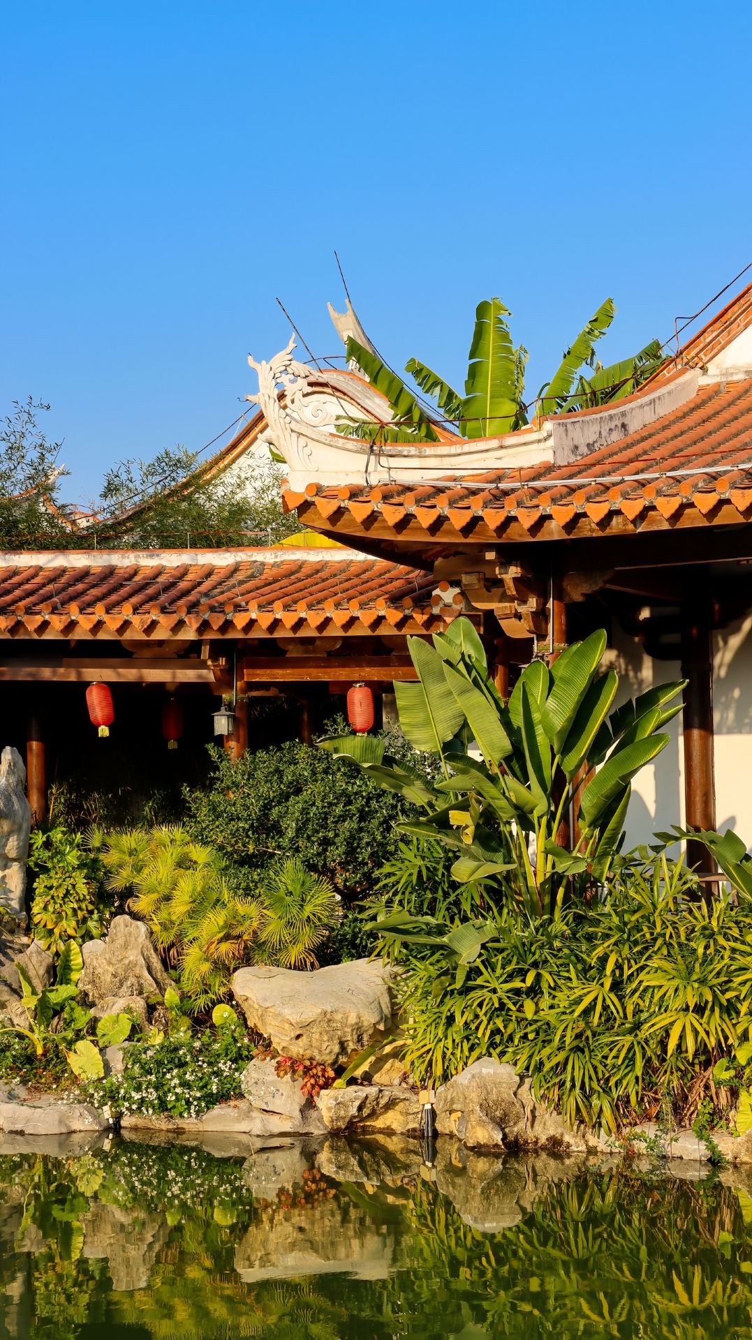 The Minnan gardens under the warm sun embody the gentleness of Quanzhou and the tranquility of its springs.