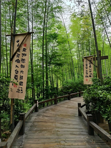 天目湖山水园(茶岛游湖) 参考图 4