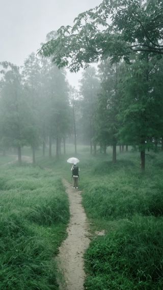 佛山の熱帯雨林探検ガイド、佛山平歩村キャンプ場の写真がとても映えます