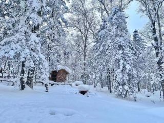 Harbin Winter Exclusive! The Ultimate Ice and Snow Kingdom Checklist
