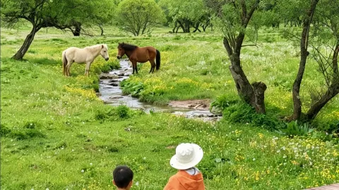 산시성 보계에 있습니다! 이 피서 코스는 너무 아름답고 사람도 적어요 — traveler post in 룽현