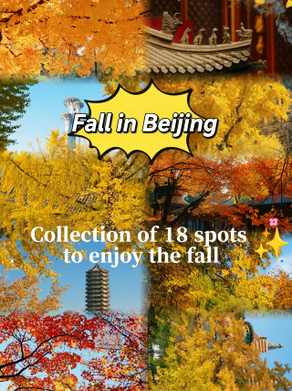 Musim Gugur di Beijing | Koleksi 18 Tempat untuk Menikmati Warna-Warna Musim Gugur