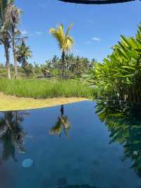 Exceptional Stay at Equipoise Resort