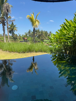 Pengalaman Menginap Luar Biasa di Equipoise Resort
