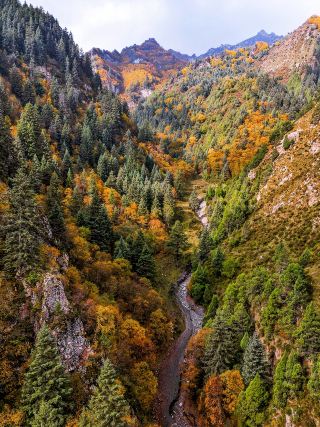 I highly recommend this Northwest autumn foliage route for "reverse travel" during the National Day holiday.