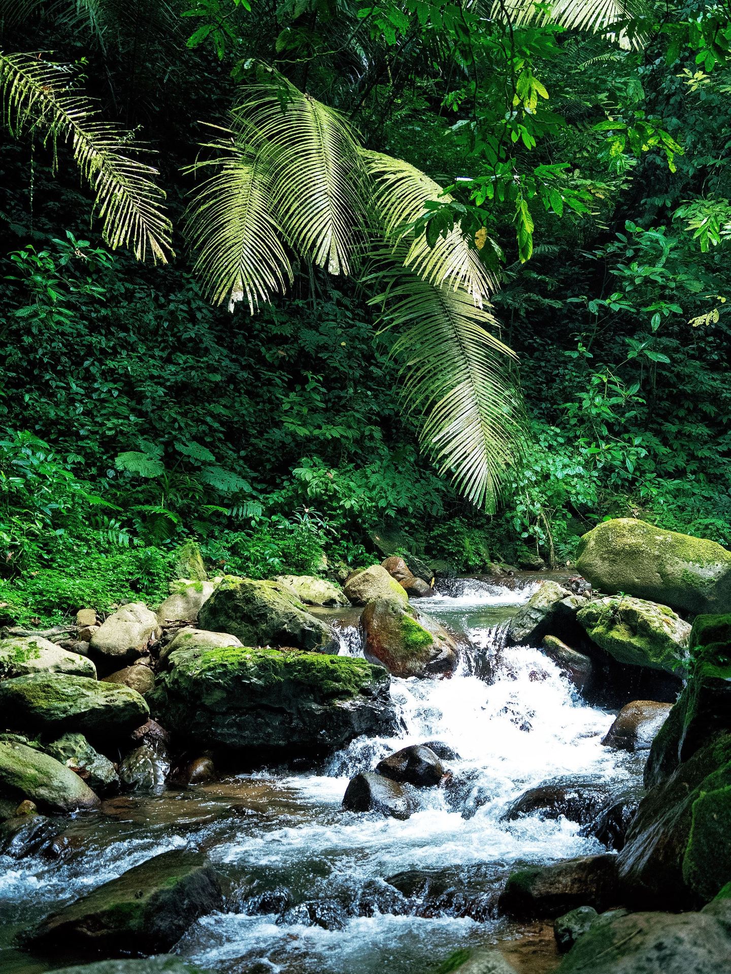 The October holiday is perfect for visiting places like Chongzuo!