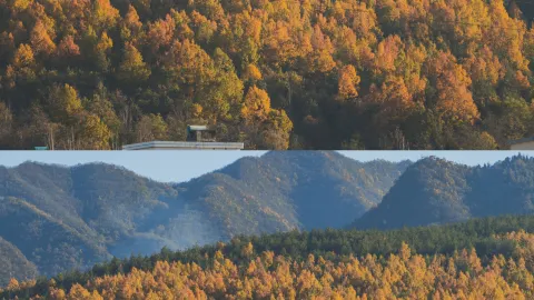 Autumn in a Small Town: Embracing Slow Living at a Cozy Homestay — traveler post in Otaru