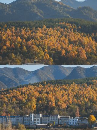 Autumn in a Small Town: Embracing Slow Living at a Cozy Homestay
