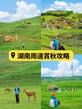 Saudari-saudari, adakah yang tahu ini?! Kalian tidak perlu pergi ke Mongolia Dalam; kalian bisa menemukan padang rumput luas yang sama di sini, di Hunan!