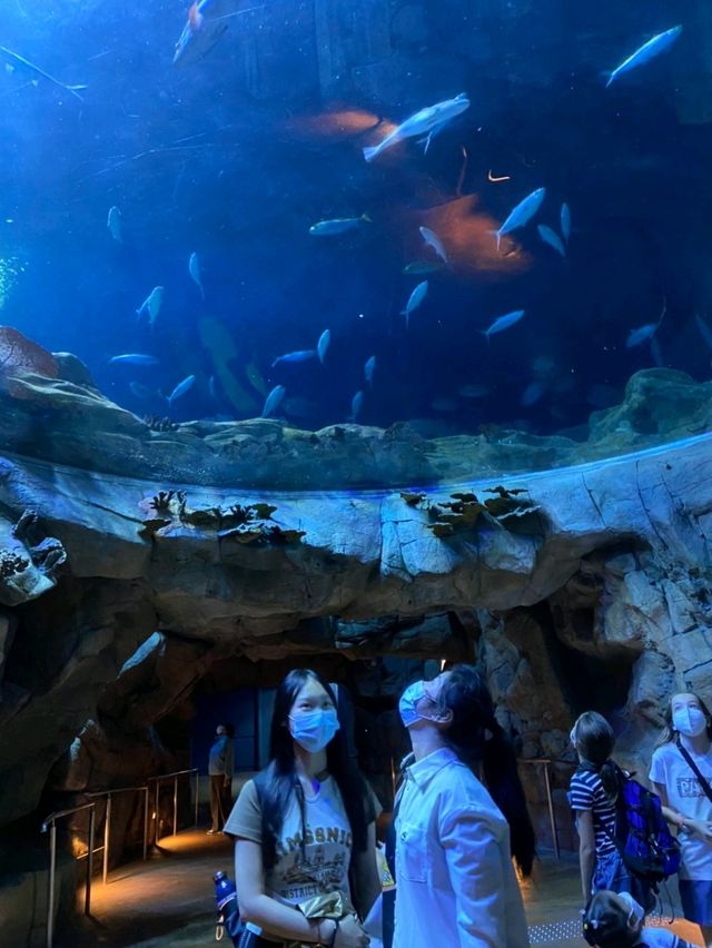 Welcome to Ocean Park Hong Kong! 