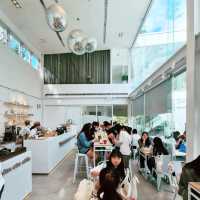 Foam Cat Cafe in Taichung