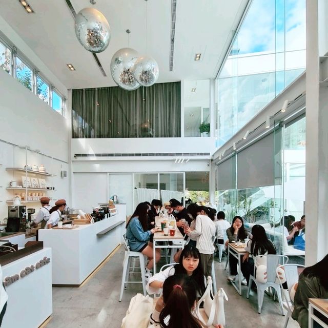 Foam Cat Cafe in Taichung
