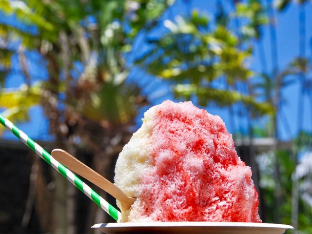 【ハワイ・オアフ島】ワイキキ裏道のオアシス🍧