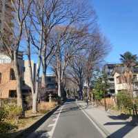 埼玉県 さいたま "氷川神社の入口" 意外と質素な入口