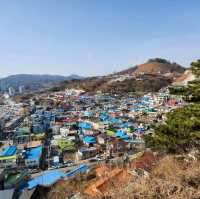 동해 바람의언덕 논골담길