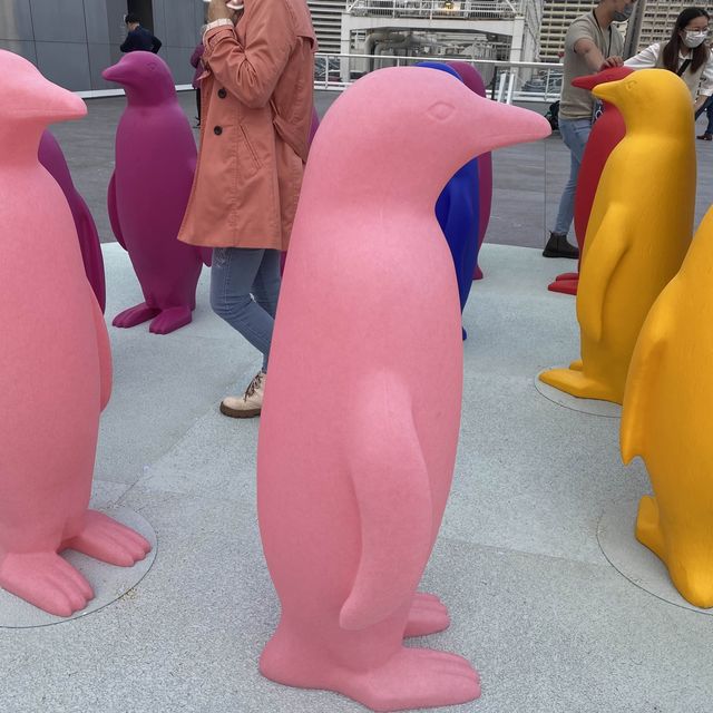 七彩繽紛企鵝兵團