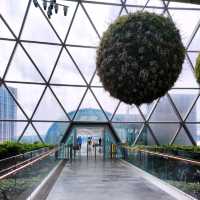 Jewel Changi Airport Attractions