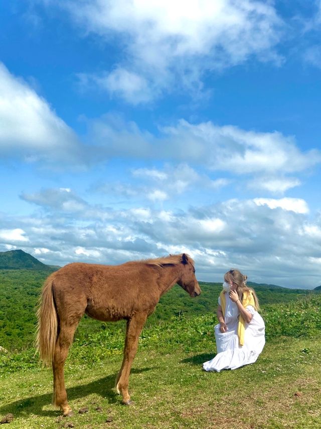 🐴 말과 함께 인생샷을 “문도지 오름”