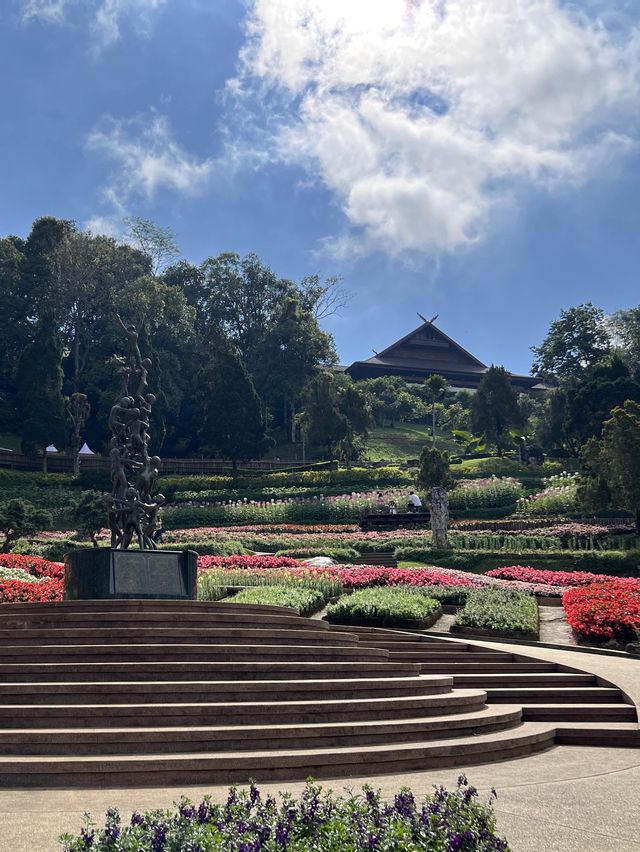 สวนดอกไม้สวยๆ ชมความงดงามบนยอดดอย