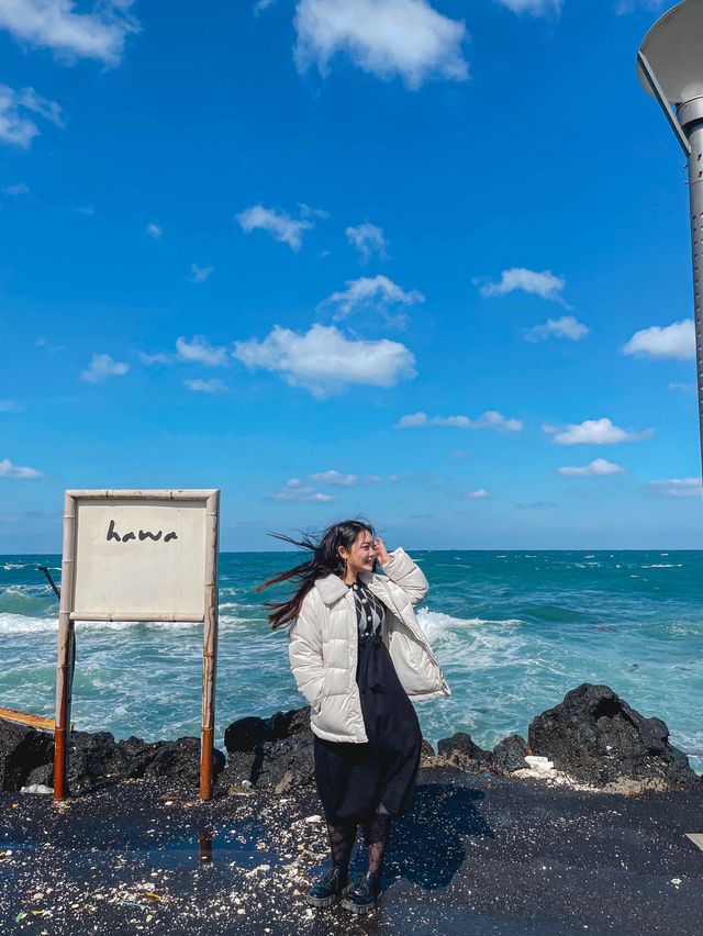 신창풍차해안도로를 달리다 잠시 차에 내려서 볼 수 있는 풍경 ‘판포포구’ 🌊 