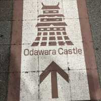 毗鄰東京的中世紀城堡🏯小田原城