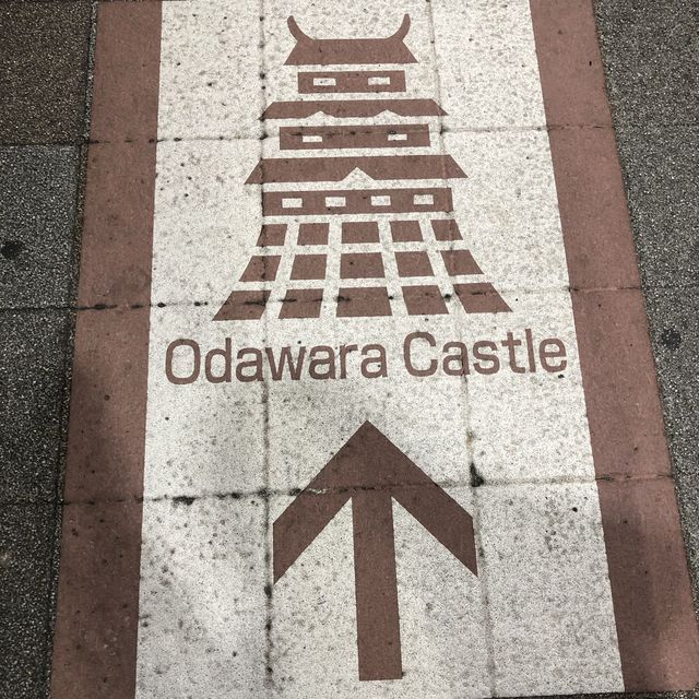 毗鄰東京的中世紀城堡🏯小田原城