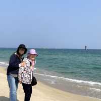 서퍼들이 좋아하는 파도가 몰려온다! 강릉해수욕장🏖️