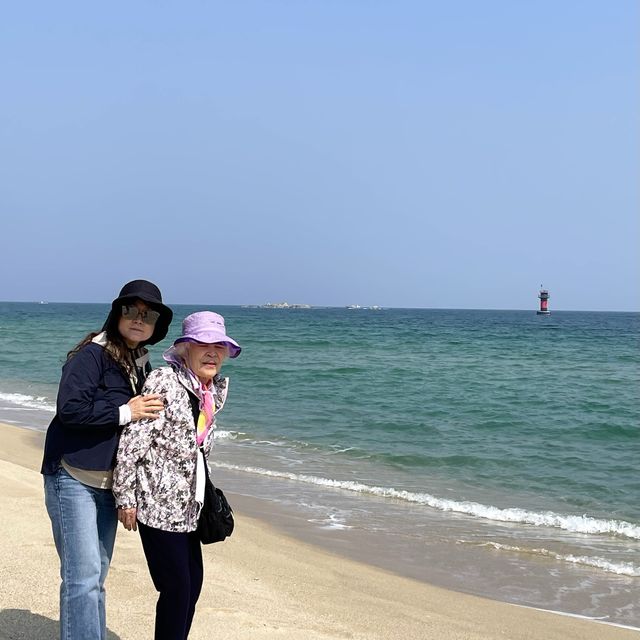 서퍼들이 좋아하는 파도가 몰려온다! 강릉해수욕장🏖️