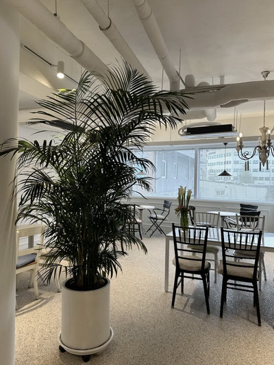 🇰🇷韓国 /ソウル 明洞カフェ🧸factoreal | Trip.com ソウル