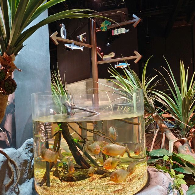 沖繩景點DMM_Kariyushi水族館 