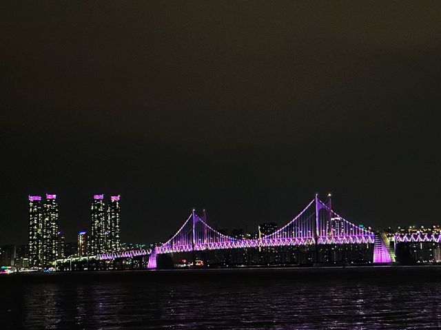《釜山》冬柏島上看夜景的好去處-APEC世峰樓