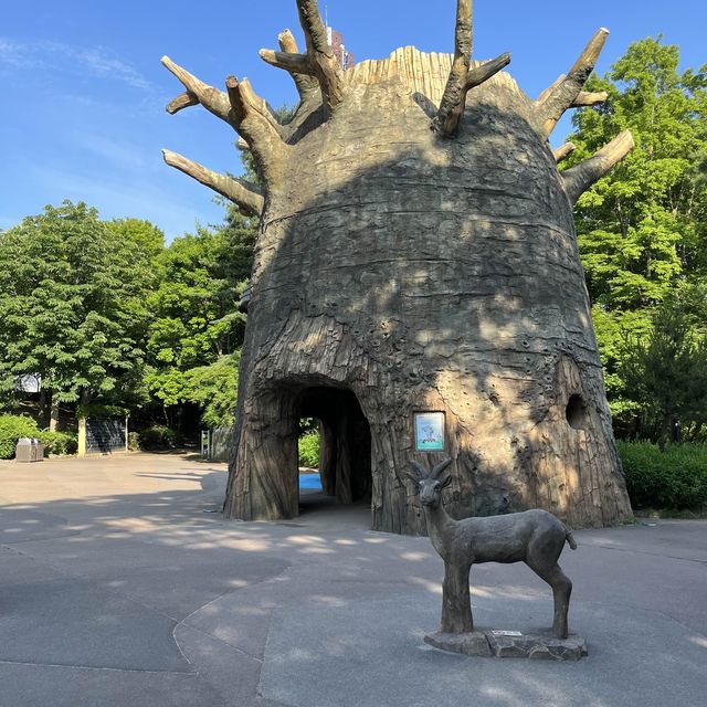 韓國必到景點首爾動物園